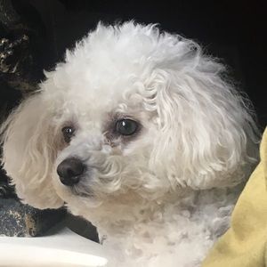 Meet your Posher, Emilia